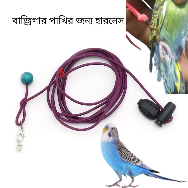 Picture of Birds Leg Chain For Budgerigar Birds Flying