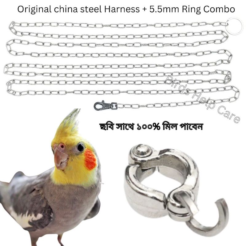 Picture of Steel Chian & China Ring for cockatail