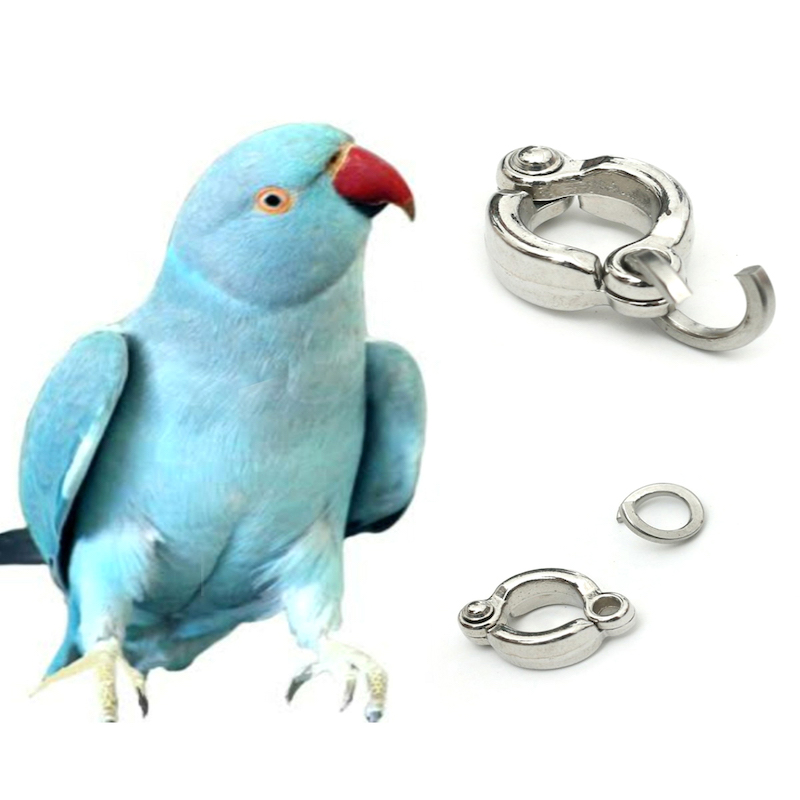 Picture of China Ring