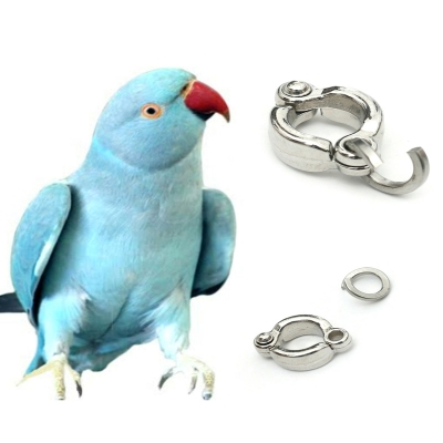 Picture of China Ring