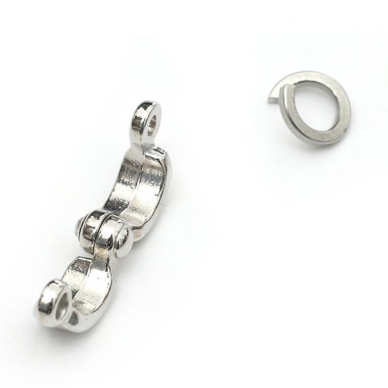 Picture of Ringneck parrot China ring