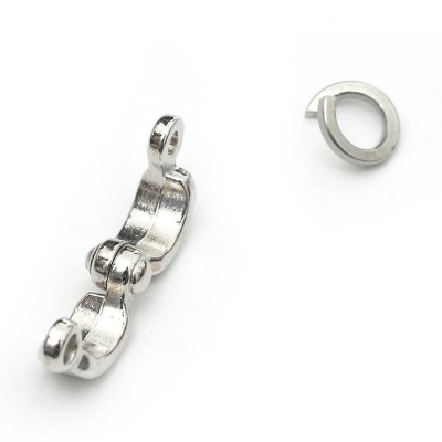 Picture of Ringneck parrot China ring