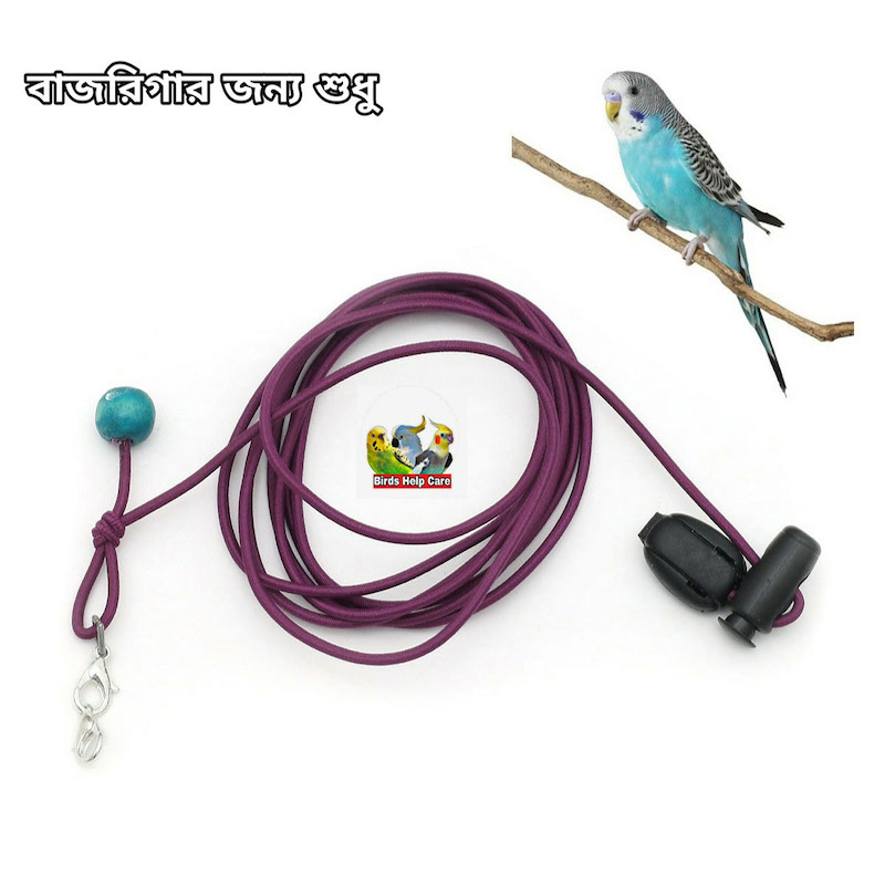 Picture of Birds Leg Chain For Small All Birds Flying