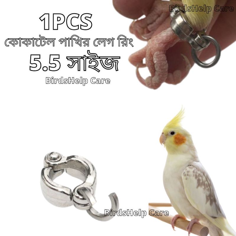 Picture of cockatiel bird leg ring 5.5mm size
