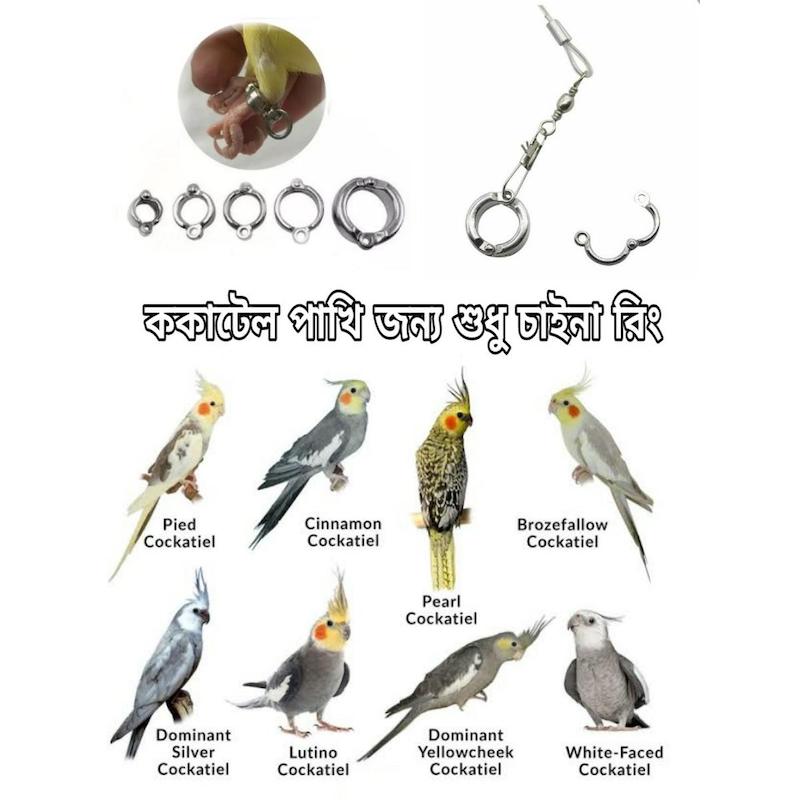 Picture of China Leg Ring for Cockatiel