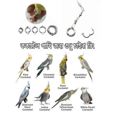 Picture of China Leg Ring for Cockatiel