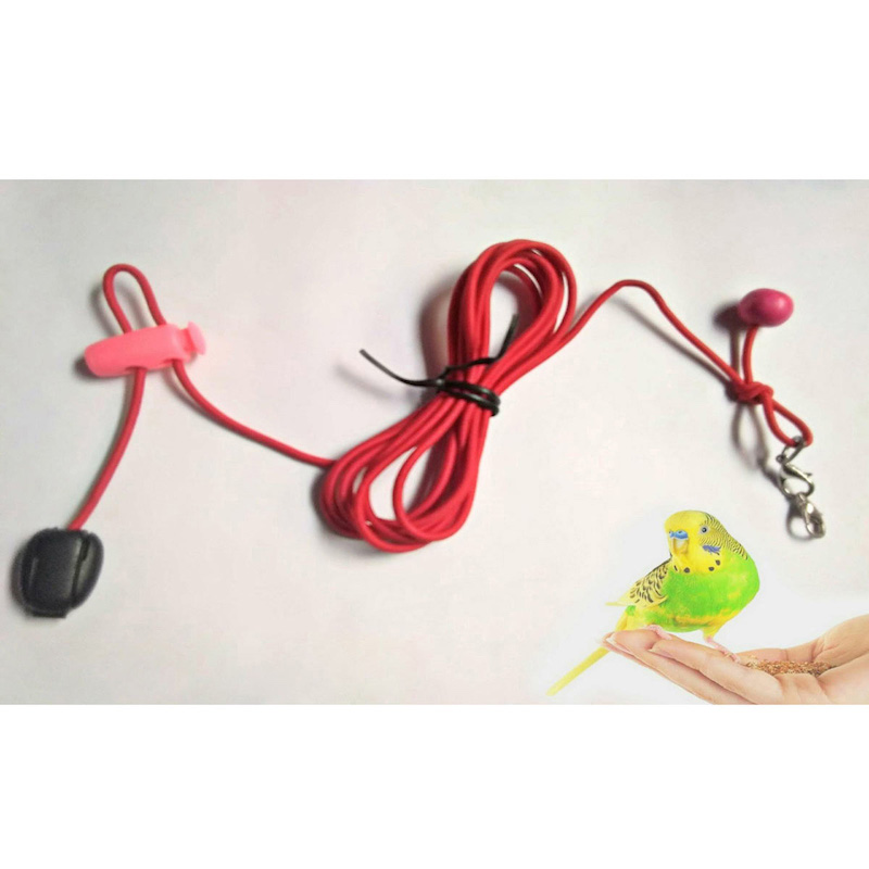 Picture of Birds safety