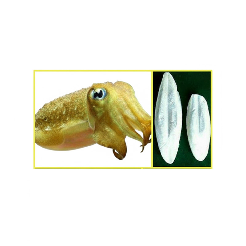Picture of Cattel Fish Bone for Birds & Pegion 100gram