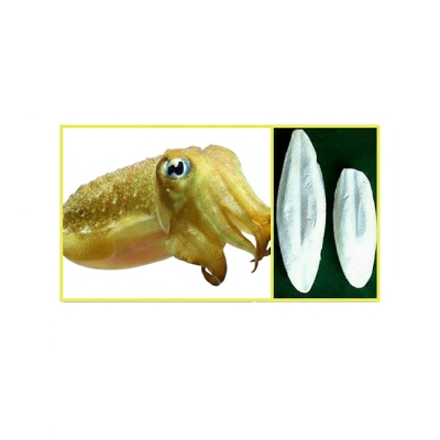 Picture of Cattel Fish Bone for Birds & Pegion 100gram