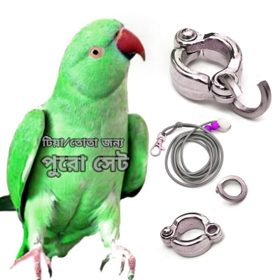 Picture of Ringneck Parrot china ring+harness-1pcs