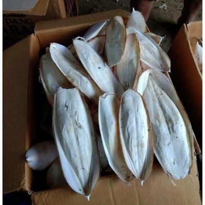 Picture of The Benefits of Cuttlebone for Birds 100gram