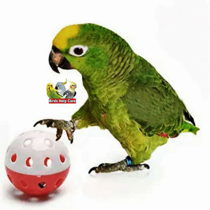 Picture of The Pets Company Bird Interactive Bell Ball, Bird Toy for Parakeet, Cockatiel, Budgerigar, Parrots 2ps
