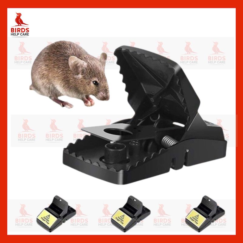 Picture of Mouse/Rat Trap For House And Office 1pcs