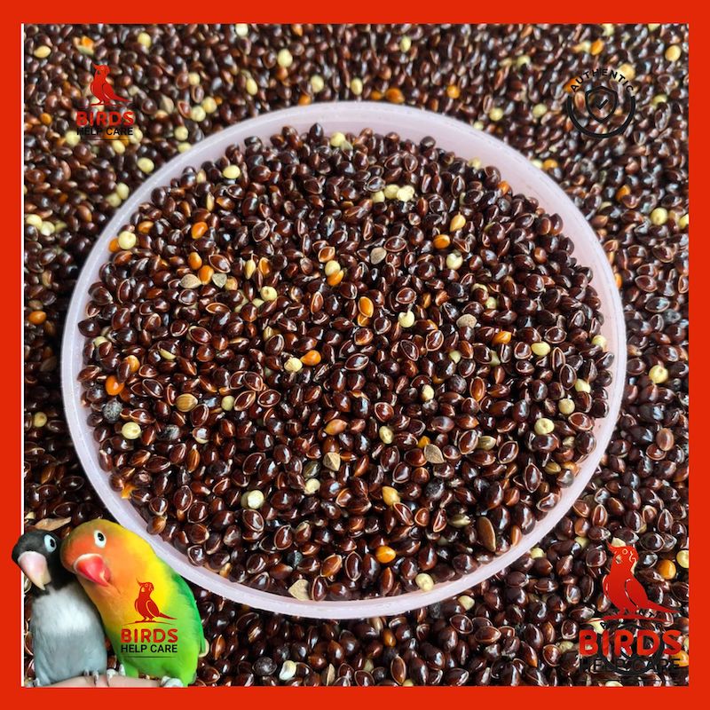 Picture of Black Millet For Bird-500g