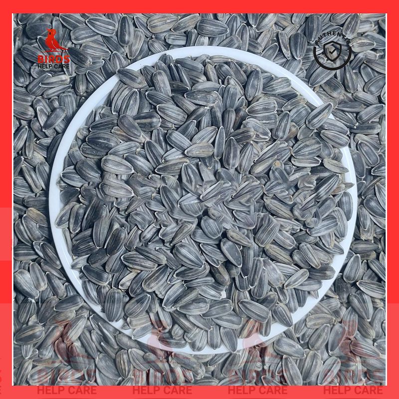 Picture of Sunflower Seed For Bird (Deshi)- 500gram