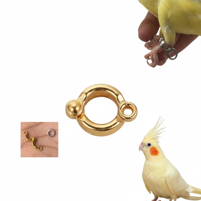 Picture of Cockatiel Birds Golden China Leg Ring 5.5MM