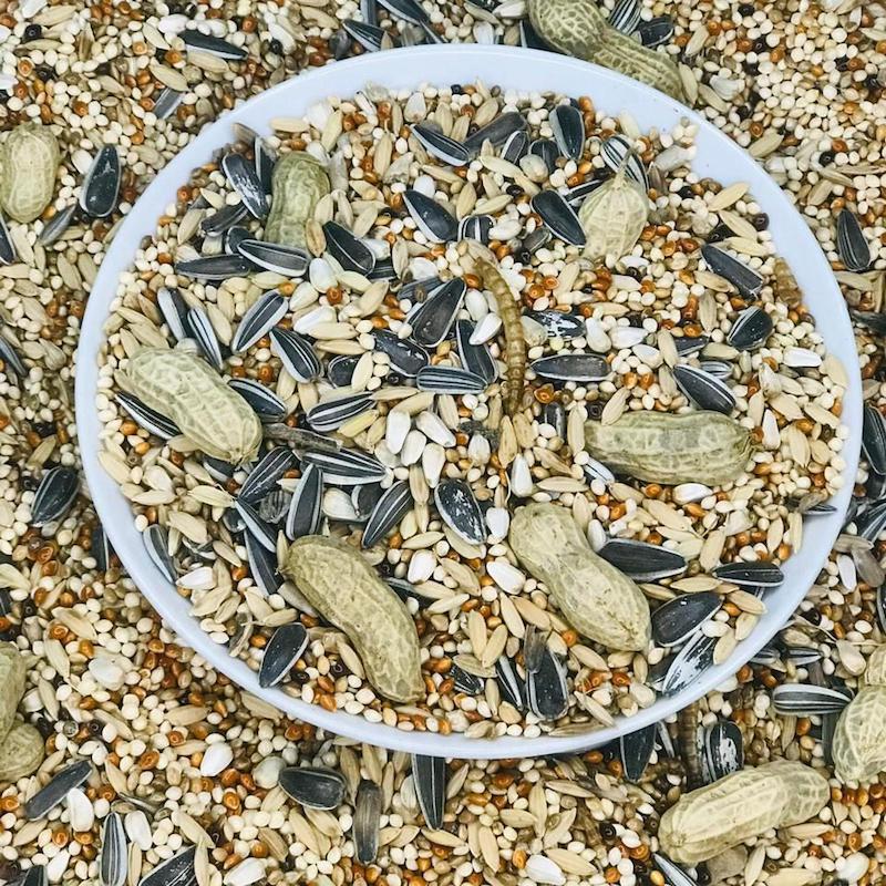 Picture of Ringneck Parrot Premium Seed Mix For Birds-500g