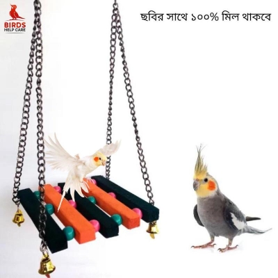 Picture of Birds Swing toy for Budgies, Cockatiel, Parrot, Conure, Java, Finch, Canary and Other Small Birds