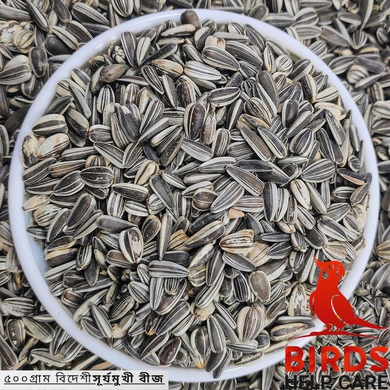 Picture of Sunflower Seed For Bird-500g for birds