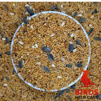 Picture of Seed Mix For Bird (Regular)-500gram