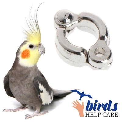 Picture of Leg Ring For Cockatiel 5.5mm Size