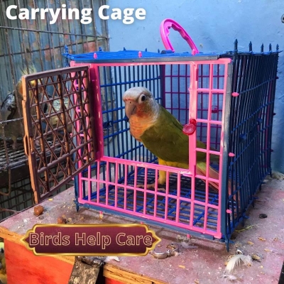 Picture of Birds Carrying Cage Only for Small Birds 1pc (Folding)