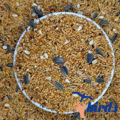 Picture of Seed Mix For Bird (Regular)-1kg