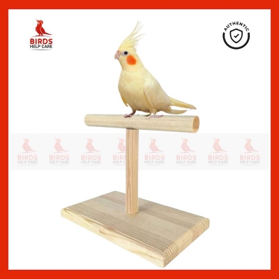 Picture of Lovebird, Budgerigar, Budgeri, Finch, Java, Canary and similar size birds