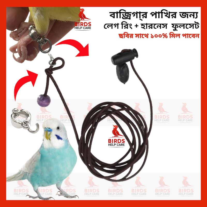 Picture of Budgerigar Birds Leg Chain & Harness full setup 1PCS