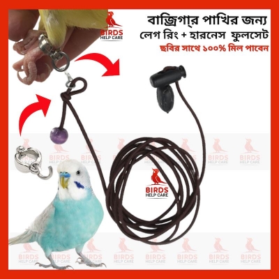 Picture of Budgerigar Birds Leg Chain & Harness full setup 1PCS