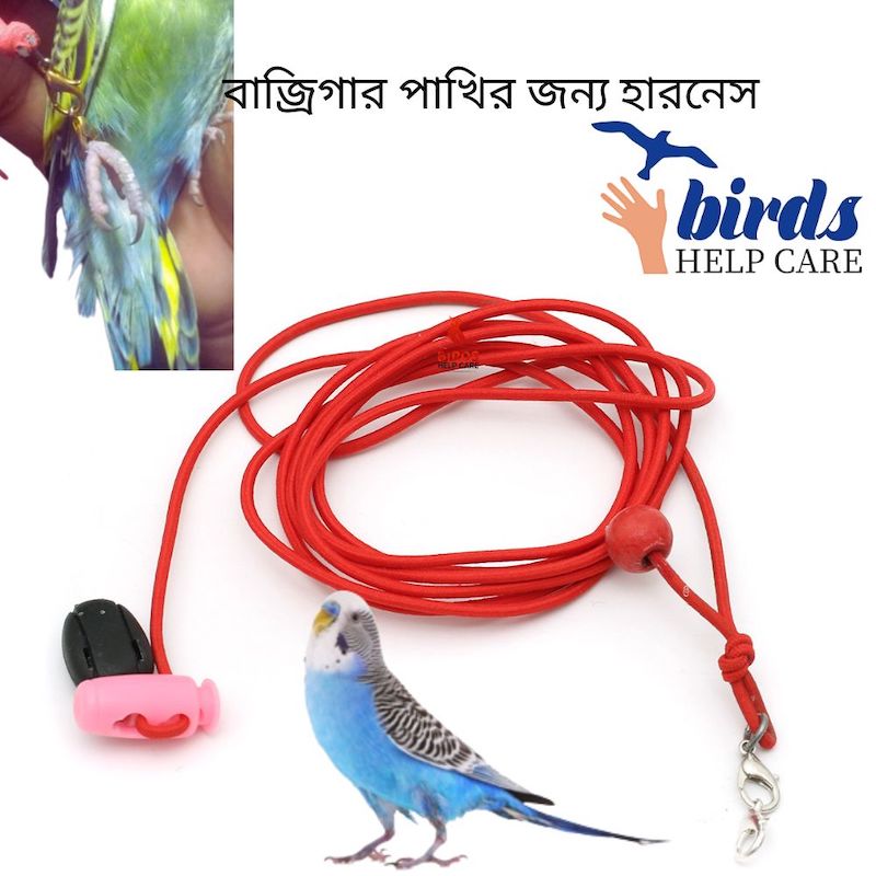 Picture of Birds Leg Chain For Small All Birds Flying