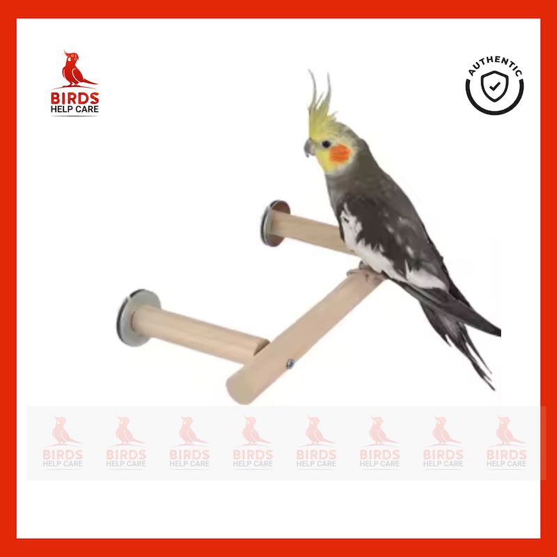 Picture of Pet Bird Perch Stand – Durable Cage Accessory for Birds | Ideal for Play & Rest | Bangladesh