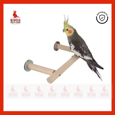 Picture of Pet Bird Perch Stand – Durable Cage Accessory for Birds | Ideal for Play & Rest | Bangladesh