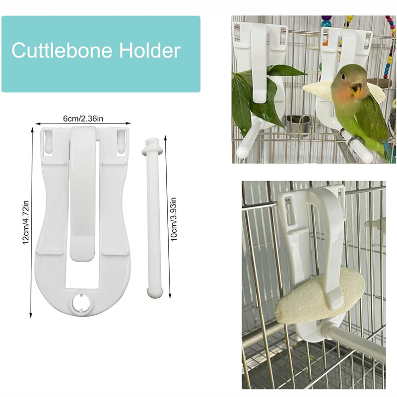Picture of Bird Food Holder Clip – Parrot & Small Bird Vegetable Clamp & Cuttlefish Bone Feeder | Bangladesh