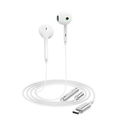 Picture of ACEFAST | L7 Type-C Semi In-Ear Wired Earphones with Mic | USB-C Plug-and-Play | Anti-Spray Noise-Reduction Mic | 1.2m Tangle-Resistant Cable, 16g | TPE+ABS+Aluminum+Nylon | For Android USB-C Phones & Tablets