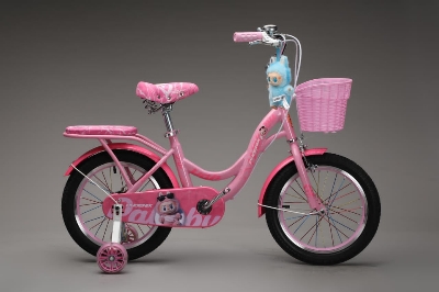 Picture of 16 Inch Ladies / Girls Bicycle with Back Seat Carrier, Front Basket, Full Wheel Mudguard & Chain Protector – Stylish & Safe Female Cycle