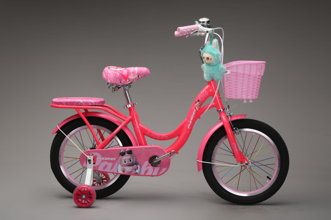 Picture of 16 Inch Ladies / Girls Bicycle with Back Seat Carrier, Front Basket, Full Wheel Mudguard & Chain Protector – Stylish & Safe Female Cycle