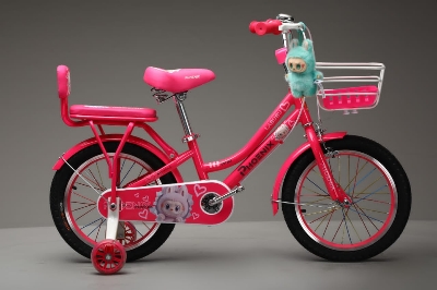 Picture of 20 Inch Ladies / Girls Bicycle with Back Seat Carrier, Front Basket, Full Wheel Mudguard & Chain Protector – Stylish & Safe Female Cycle