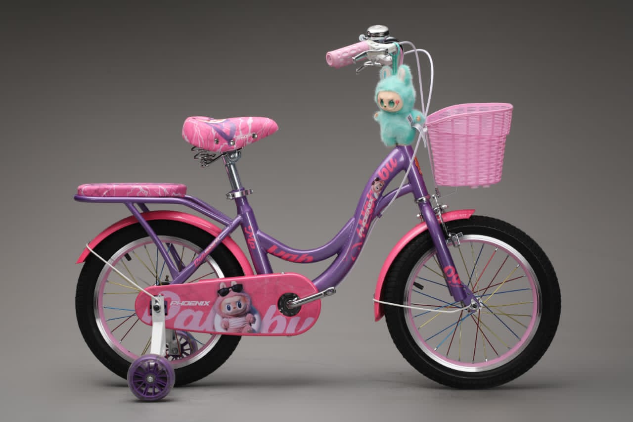Picture of 16 Inch Ladies / Girls Bicycle with Back Seat Carrier, Front Basket, Full Wheel Mudguard & Chain Protector – Stylish & Safe Female Cycle
