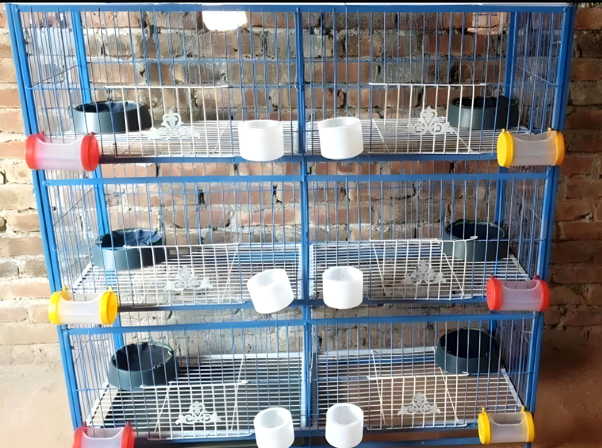Picture of 1-8 Floor Nut System Folding Cage Made by 13no. Wire With plastic coded on China Model Pigeon Cage Each Floor Size Select Before order Premium Folding Pigeon Cage – 24×18×14 Inches | Plastic Coated Wire, Easy Transport & Durable Quality Cash On Delivery A