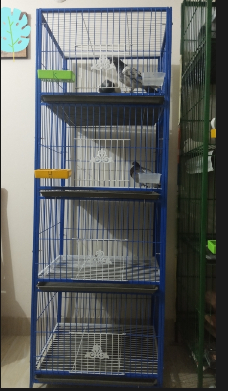 Picture of 1-8 Floor Nut System Folding Cage Made by 13no. Wire With plastic coded on China Model Pigeon Cage Each Floor Size Select Before order Premium Folding Pigeon Cage – 24×18×14 Inches | Plastic Coated Wire, Easy Transport & Durable Quality Cash On Delivery A