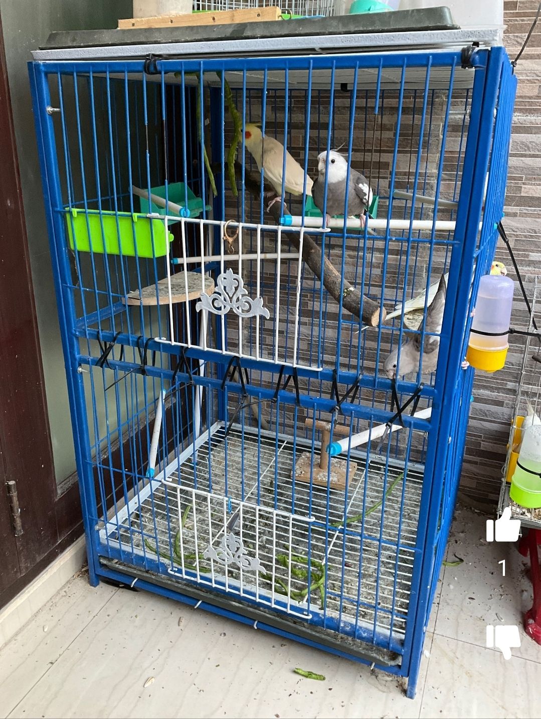Picture of 1-8 Floor Nut System Folding Cage Made by 13no. Wire With plastic coded on China Model Pigeon Cage Each Floor Size Select Before order Premium Folding Pigeon Cage – 24×18×14 Inches | Plastic Coated Wire, Easy Transport & Durable Quality Cash On Delivery A