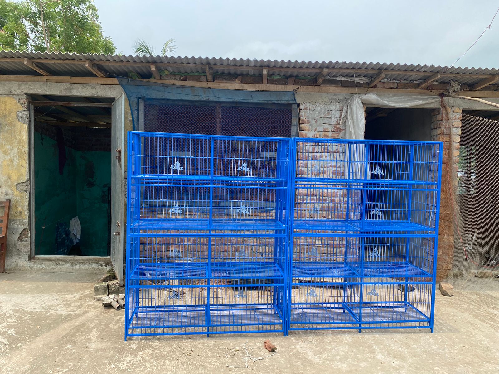 Picture of Nut System Folding Pigeon Cage – Durable 13no. Wire with Plastic Coating, China Model, Spacious 24"×18"×14" Size | Easy Assembly & Storage | Bird & Pet Supplies (2025)