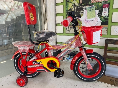 Picture of 12 Inch Boys Bicycle with Back Seat Carrier, Front Basket, Full Wheel Mudguard & Chain Protector – Durable & Safe City Cycle for Kids and Teenagers