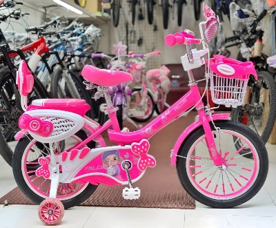 Picture of 12 Inch Ladies / Girls Bicycle with Back Seat Carrier, Front Basket, Full Wheel Mudguard & Chain Protector – Stylish & Safe Female Cycle