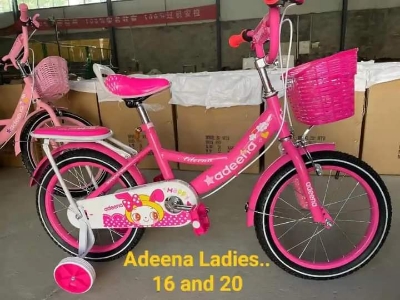 Picture of 16 Inch Ladies / Girls Bicycle with Back Seat Carrier, Front Basket, Full Wheel Mudguard & Chain Protector – Stylish & Safe Female Cycle