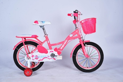 Picture of 20 Inch Ladies / Girls Bicycle with Back Seat Carrier, Front Basket, Full Wheel Mudguard & Chain Protector – Stylish & Safe Female Cycle