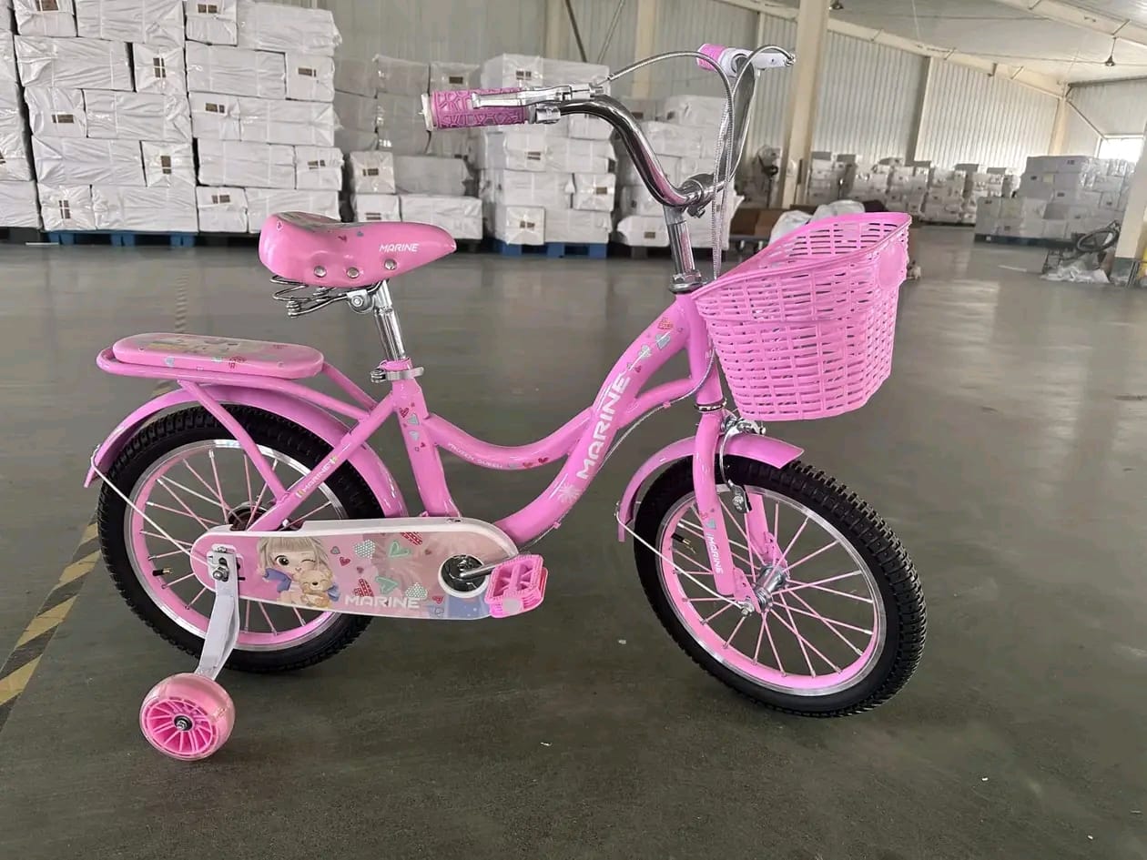 Picture of 16 Inch Ladies / Girls Bicycle with Back Seat Carrier, Front Basket, Full Wheel Mudguard & Chain Protector – Stylish & Safe Female Cycle