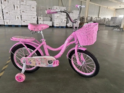 Picture of 16 Inch Ladies / Girls Bicycle with Back Seat Carrier, Front Basket, Full Wheel Mudguard & Chain Protector – Stylish & Safe Female Cycle