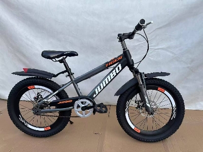 Picture of 20 Inch Mountain Bicycle with Hydraulic Brake, Front Suspension, Mudguard & Chain Guard – Durable Kids & Teen Cycle